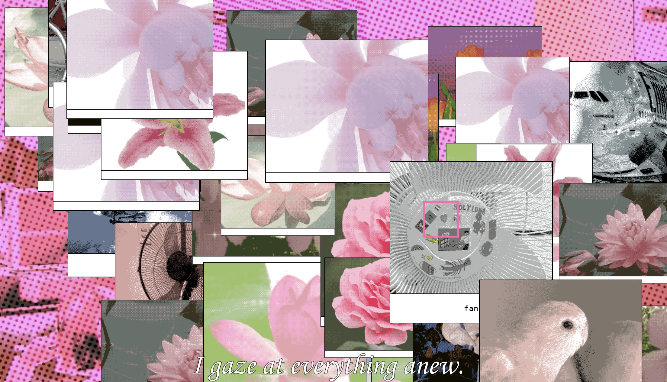 Data Labeler Dream Transcendence
